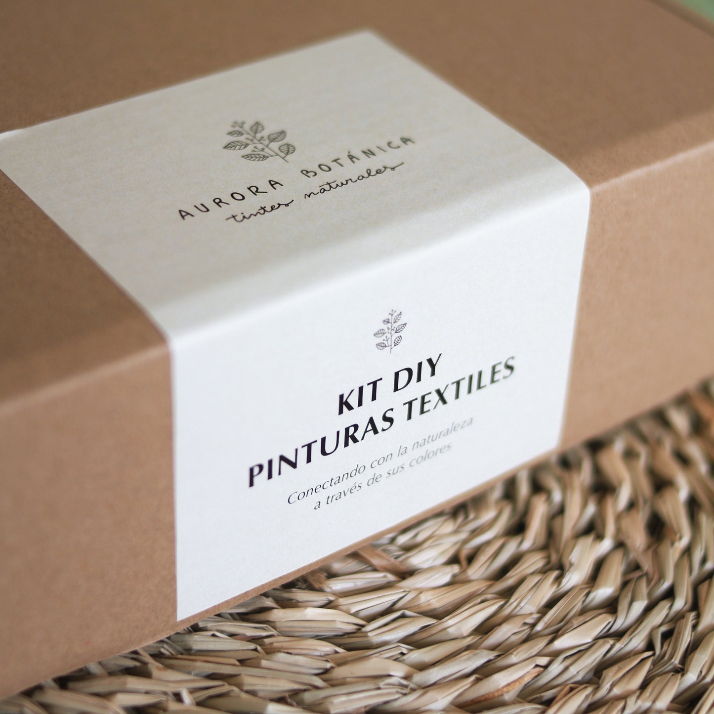 KIT DIY PINTURAS TEXTILES