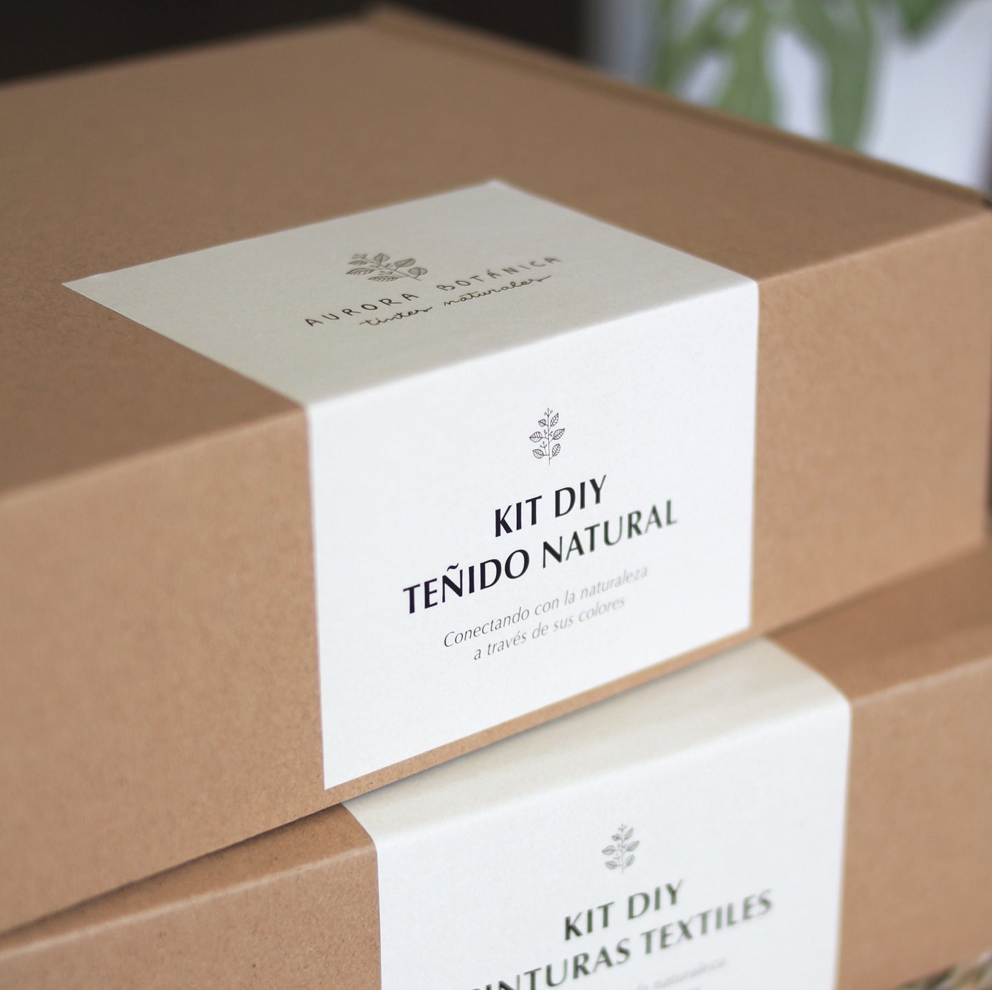 KIT DIY TEÑIDO NATURAL