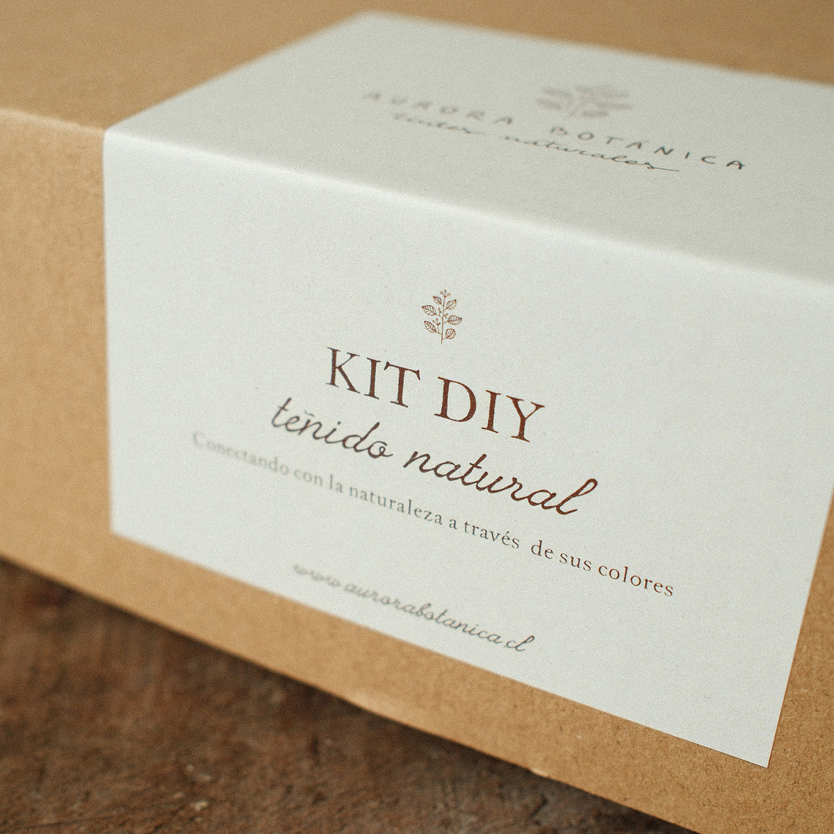PREVENTA Kit DIY de teñido natural + manual digital